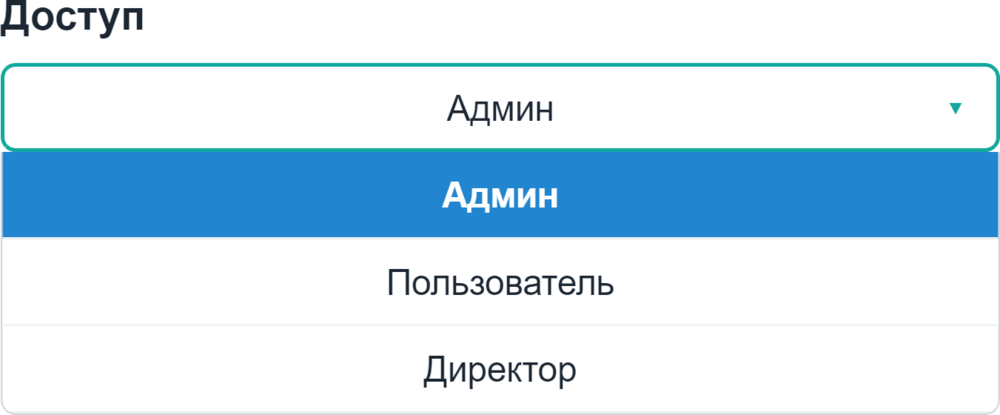 Уровни доступа: администратор, пользователь, директор